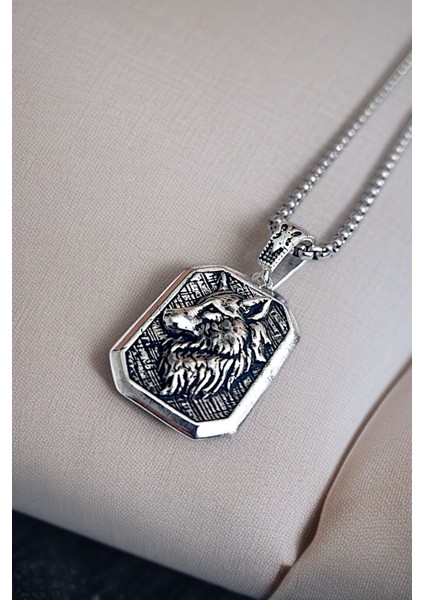 Gümüş Kaplama Krom-Çelik K-108 Erkek Kolyesi Bozkurt Türk Madalyon fırsatları