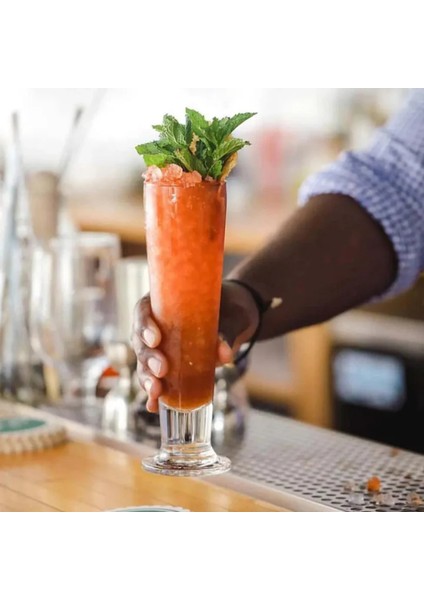 12'li Çin Çin Model 41099 Uzun Bira Kokteyl Bardağı 405 cc fırsatları