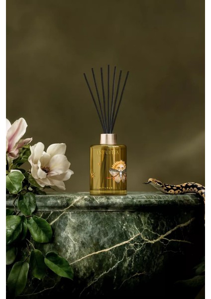 Intuitia Koku Çubukları 230ML, Safran, Vanilya ve Sandal Ağacı Aromalı Oda Kokusu fiyatları