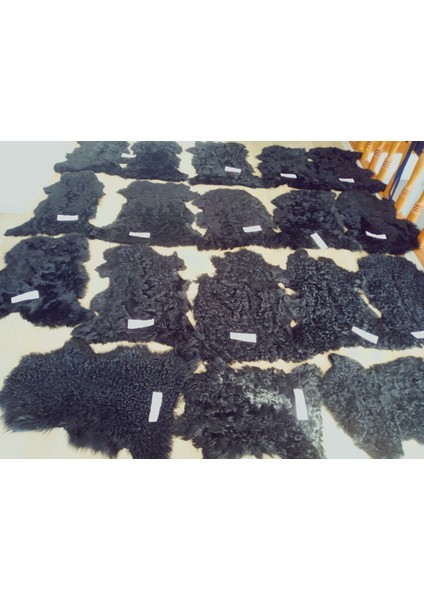 Hakiki Gerçek Deri Doğal Koyun Kuzu Postu Kıvırcık