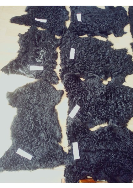 Hakiki Gerçek Deri Doğal Koyun Kuzu Postu Kıvırcık