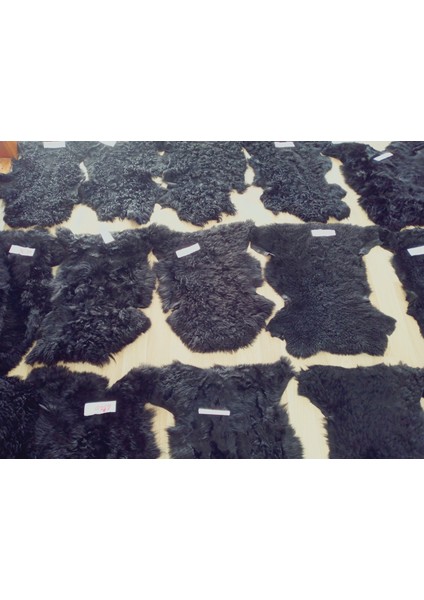 Hakiki Gerçek Deri Doğal Koyun Kuzu Postu Kıvırcık