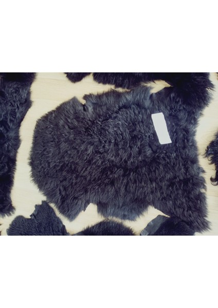 Hakiki Gerçek Deri Doğal Koyun Kuzu Postu Kıvırcık