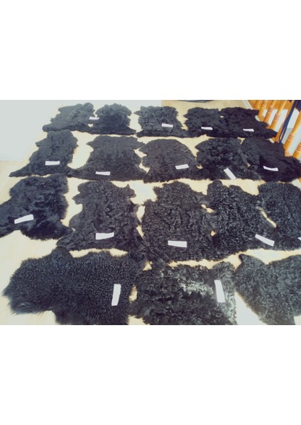 Hakiki Gerçek Deri Doğal Koyun Kuzu Postu Kıvırcık