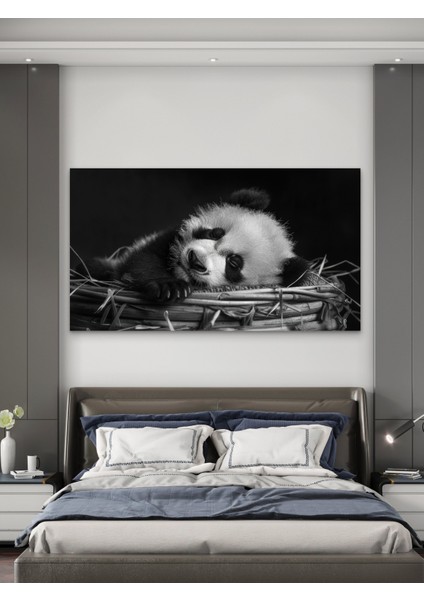 Yavru Panda Baskı Kanvas Tablo