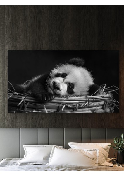 Yavru Panda Baskı Kanvas Tablo fırsatları