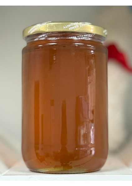 Organik Süzme Bal 1 kg fiyatları