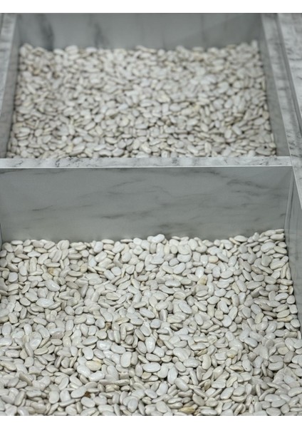 Organik Fasulye 1 kg fiyatları