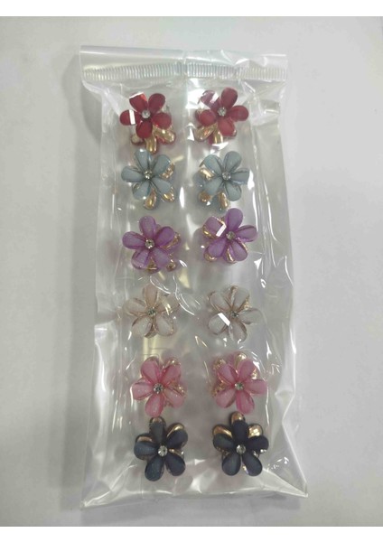 Toka 12'li Cam Görselli Çok Renkli Toka