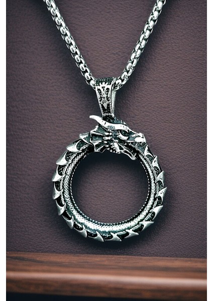 Gümüş Kaplama Krom-Çelik K-127 Erkek Kolyesi Ouroboros Yokoluş ve Yeniden Varoluş Sembolü Ejderha fiyatları