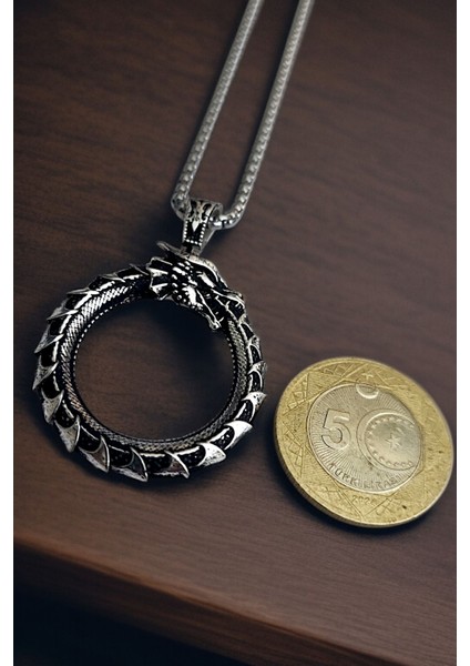 Gümüş Kaplama Krom-Çelik K-127 Erkek Kolyesi Ouroboros Yokoluş ve Yeniden Varoluş Sembolü Ejderha