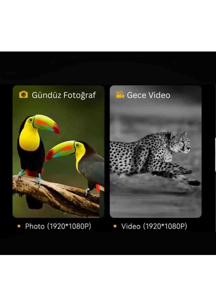 Gece Görüş Dürbünü, 800 Metre Hd Gece Görüşü, 3 Inch Ekran fırsatları