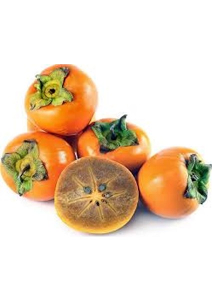 Hatay Çikolatalı Cennet Hurması(2 Kg) fiyatları