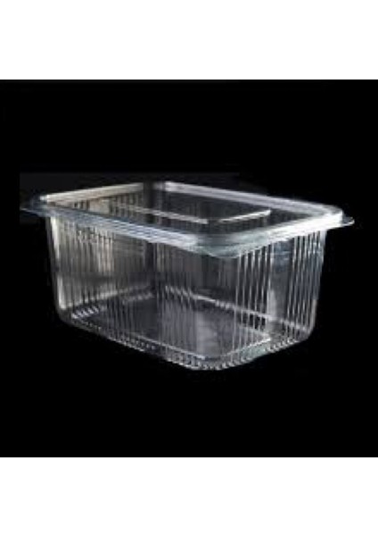 Megastar 2000 cc Sızdırmaz Kap 100 Lü