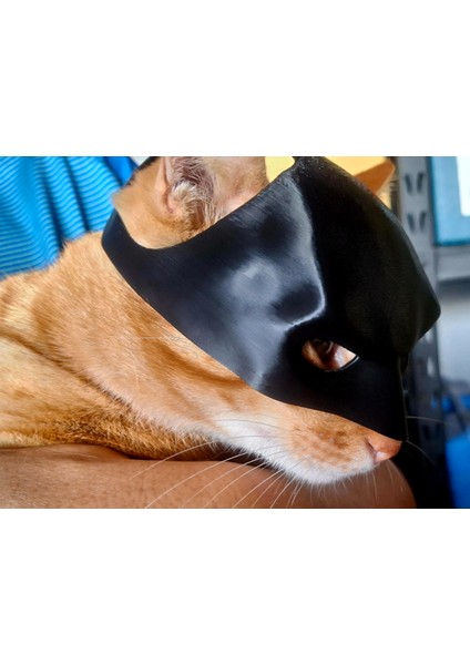 Kedi Maskesi Süper Kahraman Temalı Batman Kedi Maskesi Daredevil Kedi Maskesi modelleri
