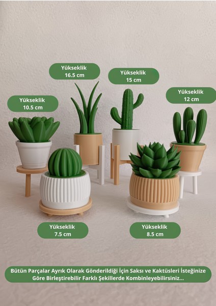 6'lı Yapay Kaktüs Set (18 Parça) - Yapay Çiçek - Yapay Bitki modelleri