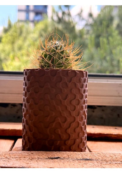 Doğal Ahşap Görünümlü Mini Kaktüs Saksısı | Dekoratif Masa Üstü Bitki Kabı