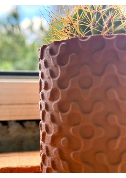 Doğal Ahşap Görünümlü Mini Kaktüs Saksısı | Dekoratif Masa Üstü Bitki Kabı fiyatları