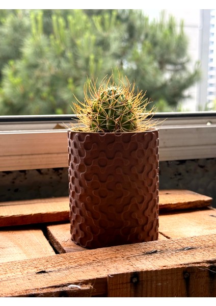 Doğal Ahşap Görünümlü Mini Kaktüs Saksısı | Dekoratif Masa Üstü Bitki Kabı modelleri