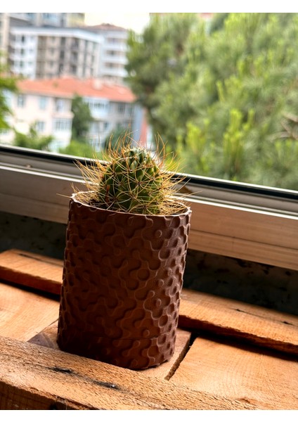 Doğal Ahşap Görünümlü Mini Kaktüs Saksısı | Dekoratif Masa Üstü Bitki Kabı fırsatları