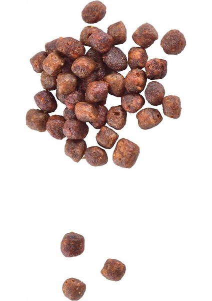 Yavru Kediler Için, Tahılsız, Hipoalerjenik, Taze Somonlu Kuru Mama 7 kg fiyatları