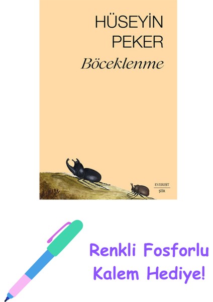 Böceklenme + Renkli Fosforlu Kalem