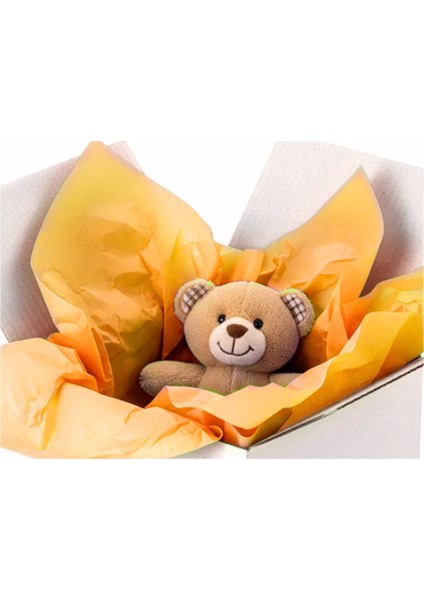 Pelür Kağıt Turuncu Renkli 64X100 18GR, 250 Sayfa (2,8kg) Hobi Kırtasiye El Işi ve Dekorasyon