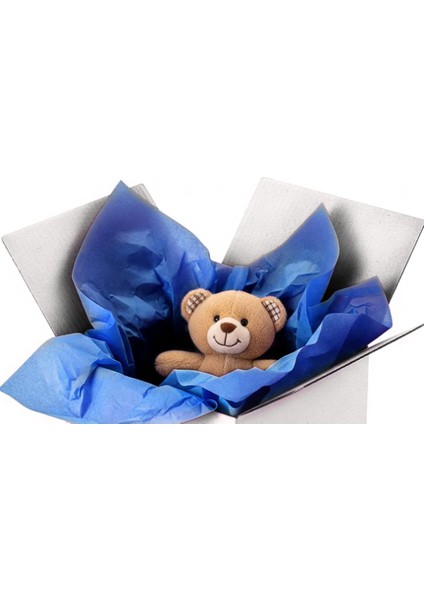 Pelür Kağıt Mavi Renkli 64X100 18GR, 250 Sayfa (2,8kg) Hobi Kırtasiye El Işi ve Dekorasyon