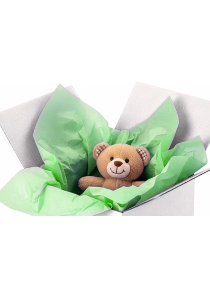 Pelür Kağıt Yeşil Renkli 64X100 18GR, 250 Sayfa (2,8kg) Hobi Kırtasiye El Işi ve Dekorasyon