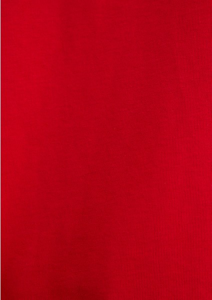 Mavi Logo Baskılı Kırmızı Tişört 1611592-82054