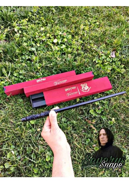 Harry Potter Asa Severus Snape