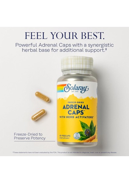 Freeze-Dried Adrenal Caps With Herb Activators Eleuthero Licorice Gotu Kola Clove Syzygium Aromatic Meyan Kökü fırsatları