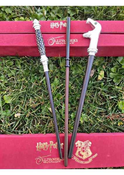 Harry Potter Filmi Malfoy Ailesi Draco Narcissia ve Lucius Malfoy Asa