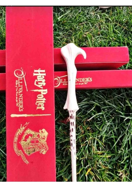 Harry Potter Filmi Lord Voldemort Asa