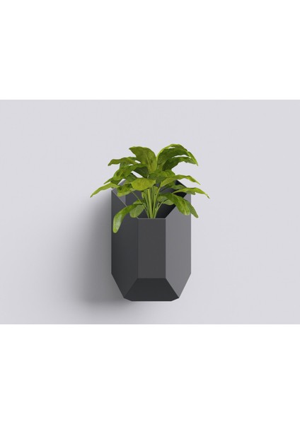 Yeni Ruby - Iç ve Dış Mekan Duvara Asılan Saksı T4365991