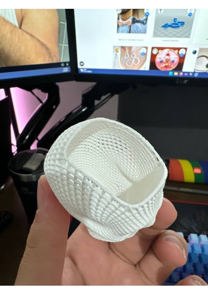 Yeni Tel Kafes Kafatası Kalemlik T1388237 fiyatları