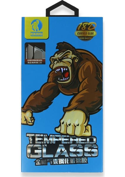 iPhone 12 Pro Max 18D Cam Ekran KORUYUCU-(5796) - AGT6615-1613