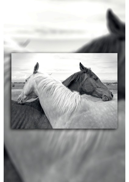 70 x 100 cm Siyah Ve Beyaz Kanvas Tablo fiyatları