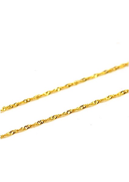 Singapur Zincir modelleri