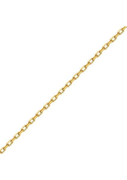 Forse Zincir fiyatları