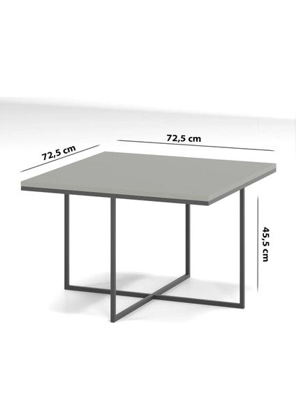 Siyah Kare Orta Sehpa ve Zigon Seti – 1. Sınıf Suntalam Metal, 72x72x41 cm, Şık ve Pratik Salon Kullanımı