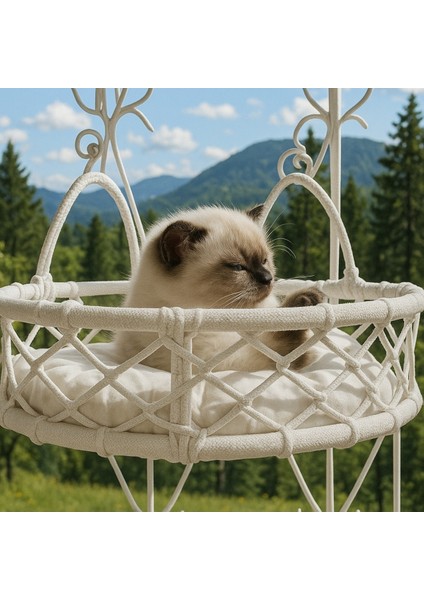 Cam Güzeli Kedi Köpek Yatağı