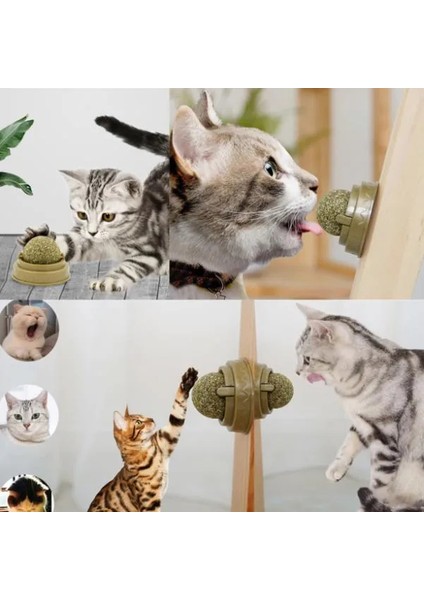 Kedi Nanesi Oyun Topu fırsatları