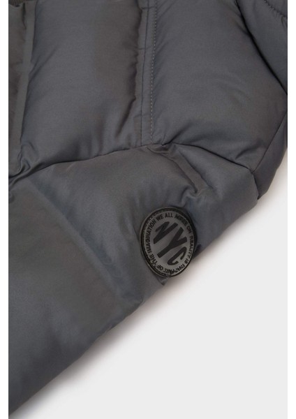 Erkek Bebek Kapüşonlu Fermuarlı Mont C6963A525AU modelleri