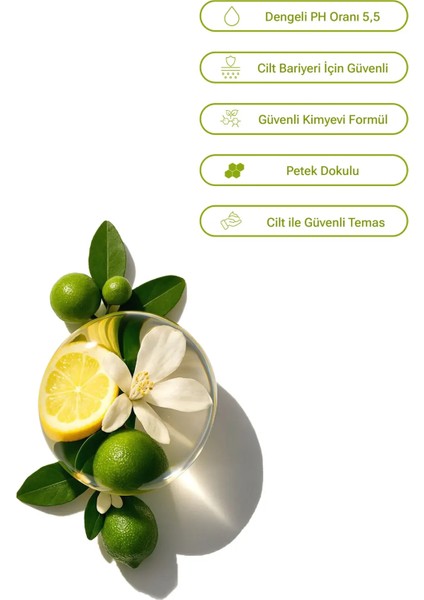 Yüzey Temizlik Havlusu Limon Ferahlığı 50'li modelleri