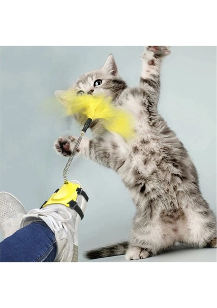 Ayağa Takılan Kedi Oyun Oltası fiyatları