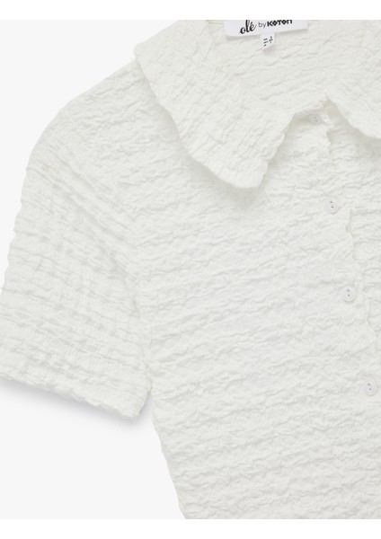 Bürümcük Düğmeli Kısa Kollu Bebe Yaka Tişört indirimleri