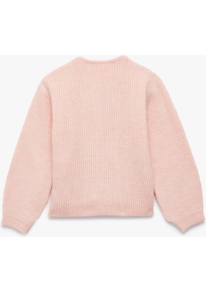 Aplike Gül Detaylı Uzun Kollu Bisiklet Yaka Düğmeli Triko Hırka fiyatları