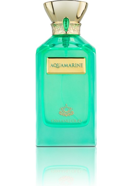 Aquamarine 100 ml Edp – Narenciye Çiçeksi Unisex Parfüm – 4201 fiyatları