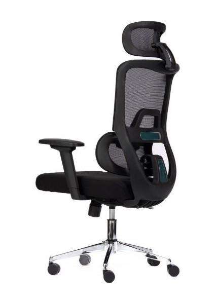 Vega Fileli Başlıklı Çalışma Koltuğu indirimleri